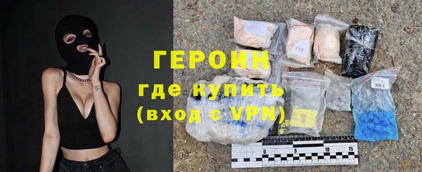 индика Богородск