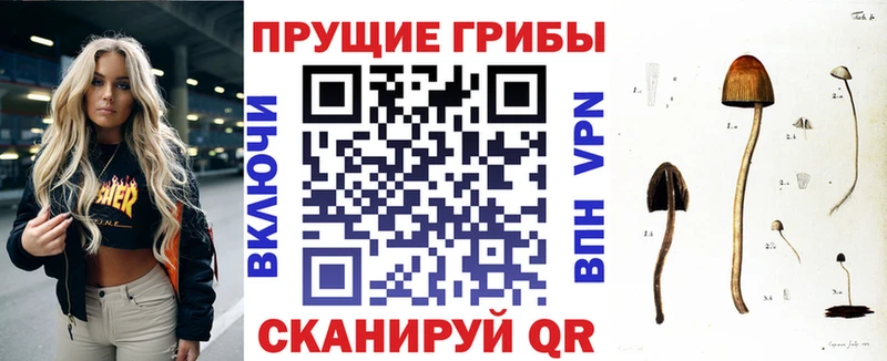 Псилоцибиновые грибы ЛСД Малоархангельск